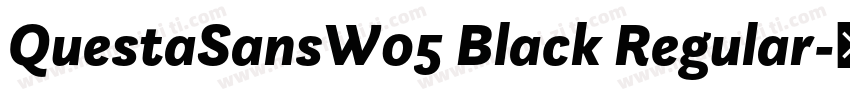 QuestaSansW05 Black Regular字体转换
